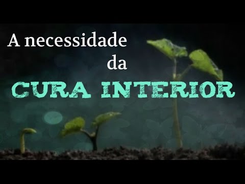 Palestra Padre Leo A necessidade da cura interior