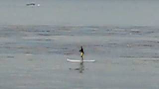 preview picture of video 'Paddleboarding Shell Bch Jan 09'