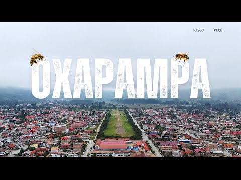 Oxapampa. Historia, cultura y naturaleza