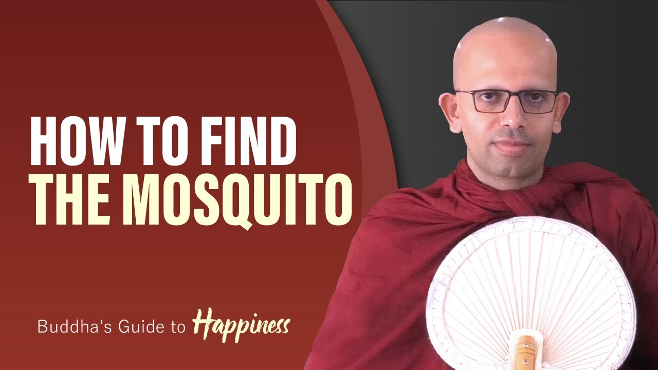 How to spot the Mosquito
