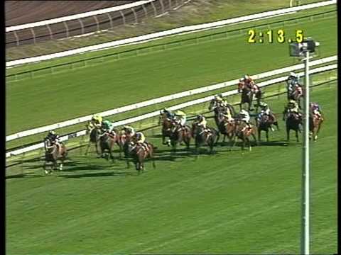 2001 AJC Derby - Universal Prince