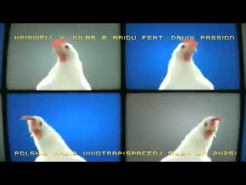 Kriswell X Julas & Ariqu feat. DaVix Passion - Polskie radio VixoTrap(spacedj Mush Up 2k25)