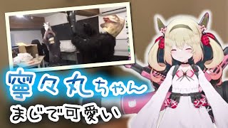 【息根とめる】超美麗3D実写配信の後日談にて寧々丸の容姿について言及するが・・・【切り抜き】