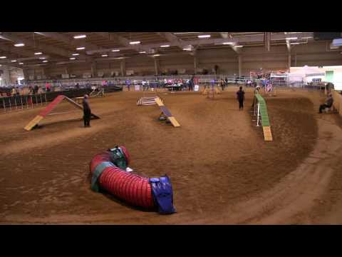 Enda Excellent A Debut