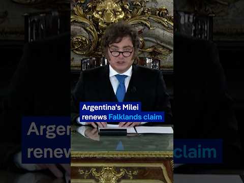 Argentina's Milei steps up Falklands sovereignty claims | DW News