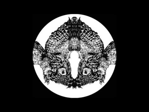 Pfirter - Ahora (Jonas Kopp Remix) [MT03]