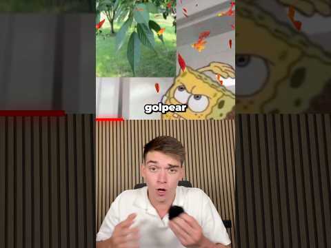 Cosas que TODO EL MUNDO hacía cuando era niño