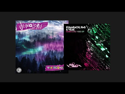 SkweeeRRL  - Jungle mix (LIS x s̄plav reserve DJ set)