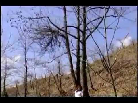 Lap run ginhtawng bai du sai