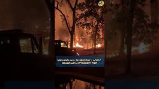 Կալիֆոռնիան պայքարում է խոշոր անտառային հրդեհների դեմ