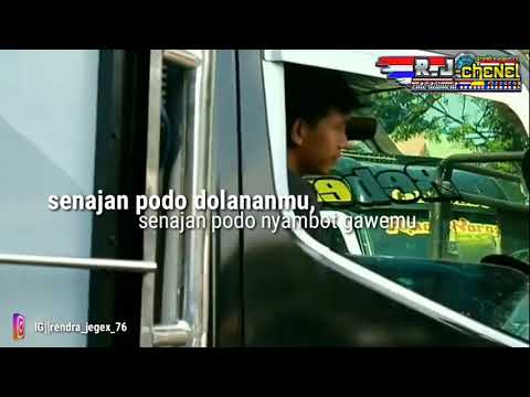 story wa||canter rebecca sewates kerjo