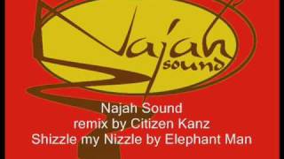 Remix Shizzle my Nizzle Elephant Man by Najah Sound