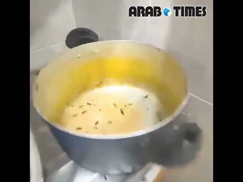 Cockroaches in Kitchen, Workers Stuffed in Single Room at Kuwait Delivery Firm&rsquo;s Accommodation