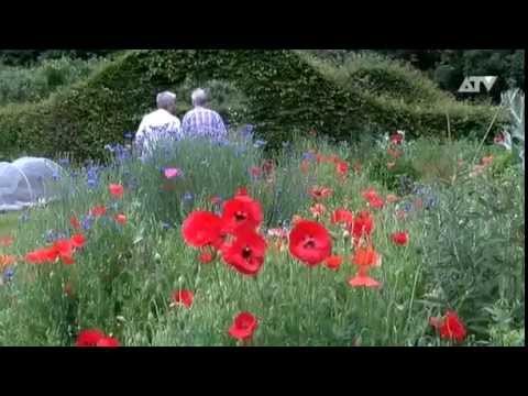 Bioligische boeren houden ecodagen