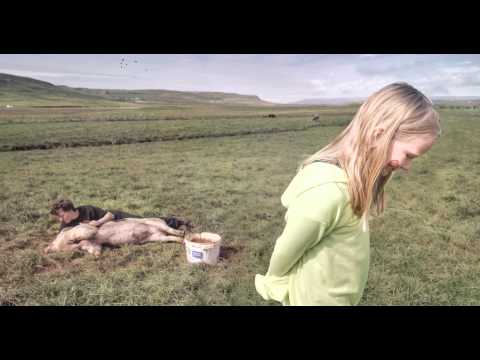 Erpsstaðir cottage - Iceland (4K 2.5D Animation)