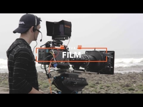 Pathways Department Insight - CTVA: Film Option