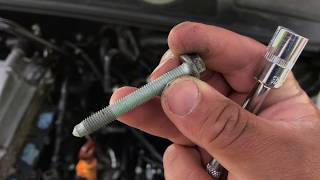 Removing: Oil Filter, Oil Cooler + Hoses, Oil Filter Housing/Adapter (Audi B6 A4 1.8t Quattro)