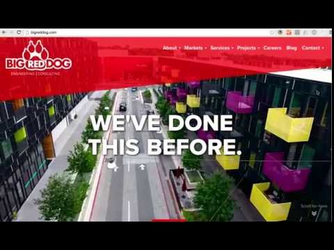 Website Redesign for Big Red Dog