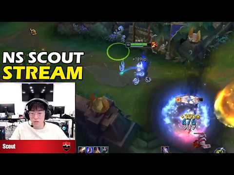 NS Scout Stream - The Owner of EDG Zoe Show Off
