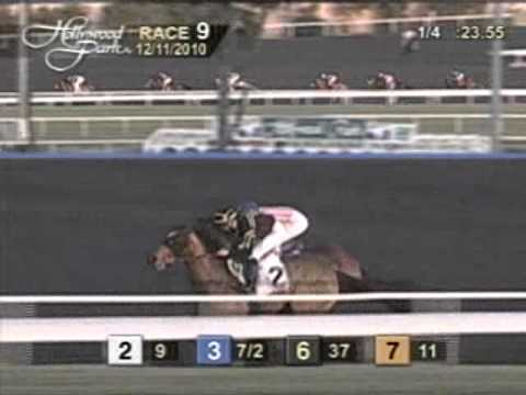 Hollywood Starlet Stakes