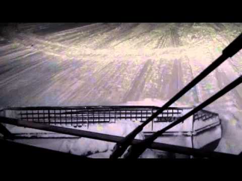 New Year's Eve grooming