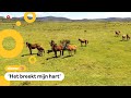 Duizenden wilde paarden worden afgeschoten