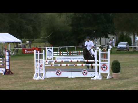 ZAMINTA - Cormint x Alboretto, Geb. 2007, Holsteiner Stute