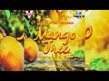 Skillful Band Mango Tree 2025