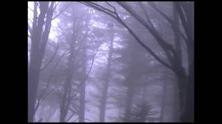 Ulver - Lyckantropen Themes VI &amp; VII