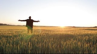 Steve Noble - Street of broken hearts