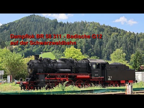 Dampflok BR 58 311 - Badische G12 auf der Schwarzwaldbahn August 2025 | Eisenbahnfreunde Zollernbahn