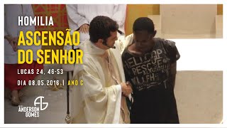 HOMILIA da Ascensão do Senhor (Lc 24, 46-53/Ano C) - 08/05/2016