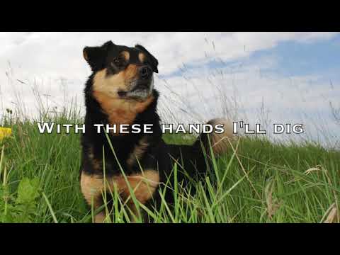 Video thumbnail for Brown-Eyed Dog