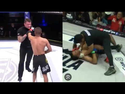 When Referees Fight Back In MMA | Instant Karma