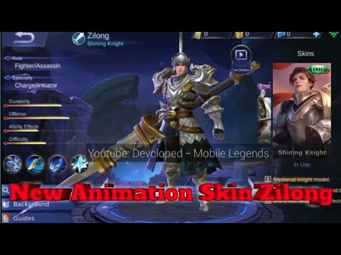 (New Animation Skin) ZILONG "Shining Knight"