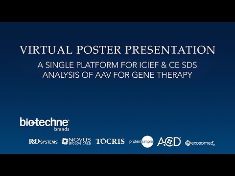 Virtual Poster - A Single Platform for icIEF & CE SDS Analysis of AAV for Gene Therapy