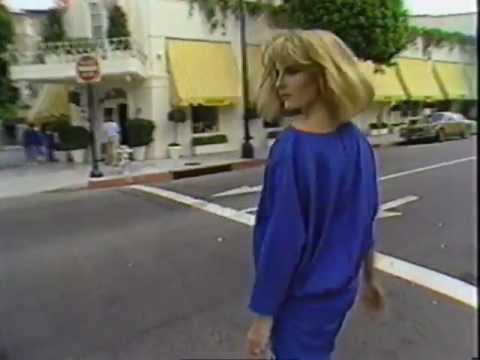 Beverly Hills (I Wanna Live In) by Joe Saltzman, 1985