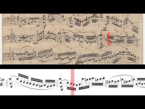 BWV 1011 - Cello Suite No.5 (Scrolling)