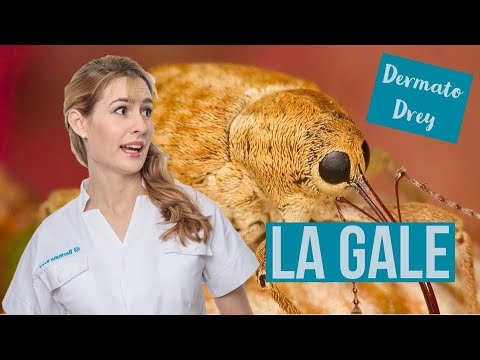 Scabies ! All that you need to  know to erase it ! Dermato Drey