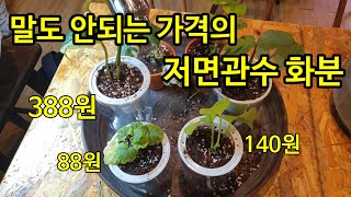 엄청나게 저렴한 화분의 특별한 기능