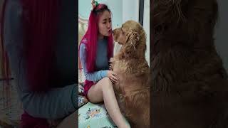 Download lagu i love you dogggy #funny mp3