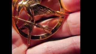 The Hunger Games with Arshad "Girl on Fire" Song