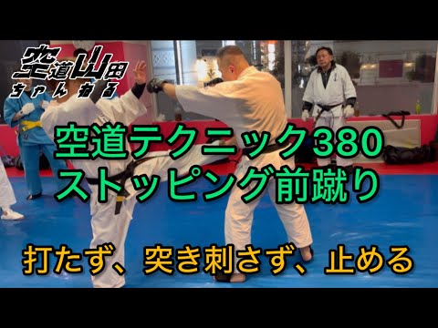 【武道】空道テクニック380「ストッピング前蹴り」【格闘技】