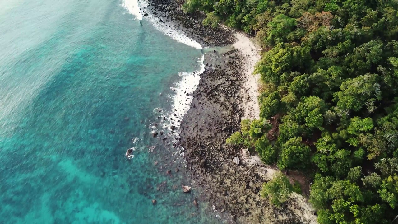 Walk in nature to witness the miracles