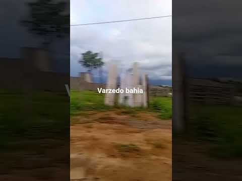 varzedo bahia