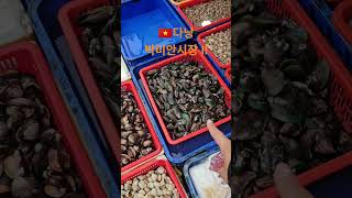 다낭 박미안시장 ㅋㅋ #다낭여행 #다낭박미안시장 #영종도시바견 #다낭자유여행