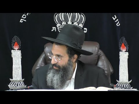 הלכות כבוד רבו ותלמיד חכם - ז' - בשירות הציבור | יורה דעה - סימן רמב | חלק 289 | הרב שי עובד
