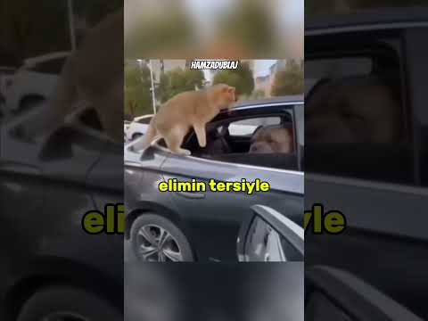 AZ DAHA PAKET OLUYORDUK!