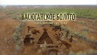 Рыболовные водоемы в новосибирской области