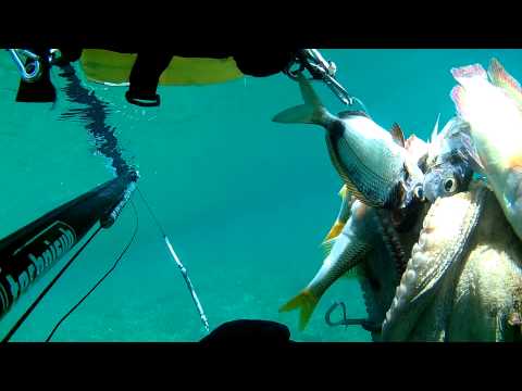 Psarodoufeko varlamis